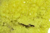Bright-Yellow Sulfur Crystals - Bolivia #301875-2